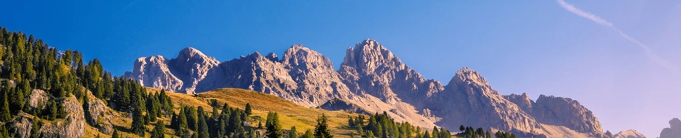 banner-image