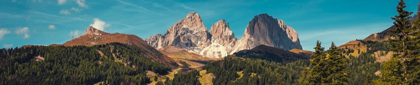 banner-image