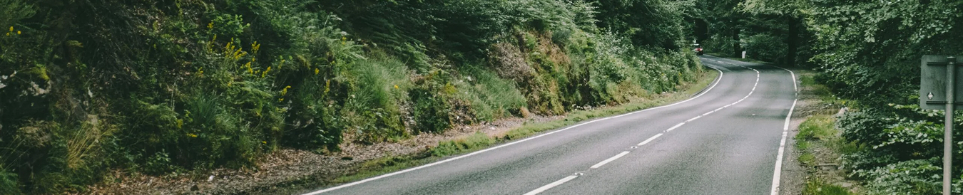 banner-image
