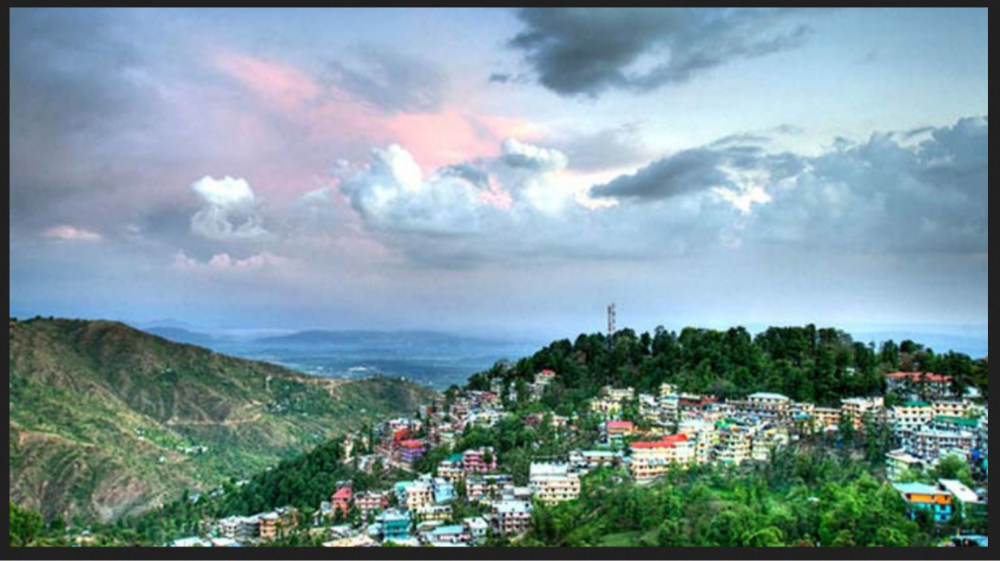 Dazzling Dalhousie