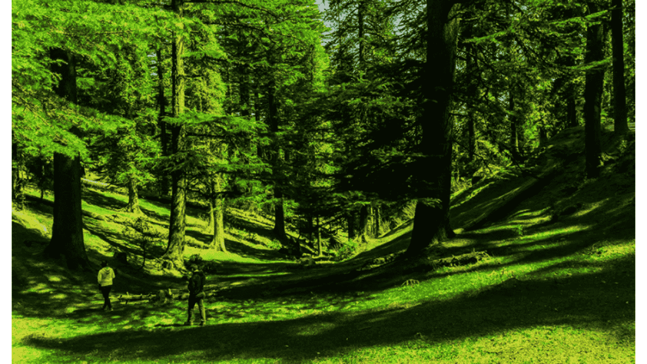 Chamba Highlands Escape – Nature, Trek & Culture Tour